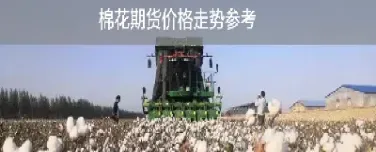 期货棉花205指的是什么意思(期货棉花连续是什么意思) (https://www.haizilaw.com/) 期货百科 第1张