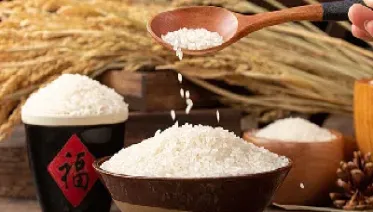 期货粳米是什么(粳米期货的属性和用途) (https://www.haizilaw.com/) 道指期货 第1张
