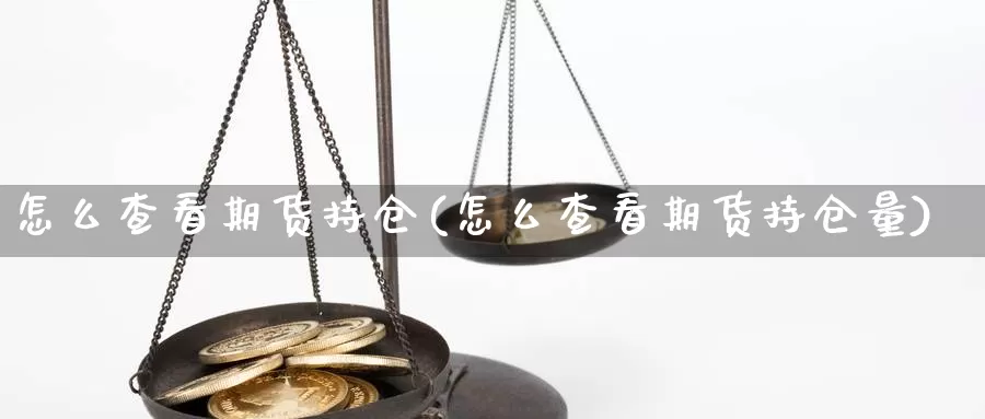 怎么查看期货持仓(怎么查看期货持仓量)