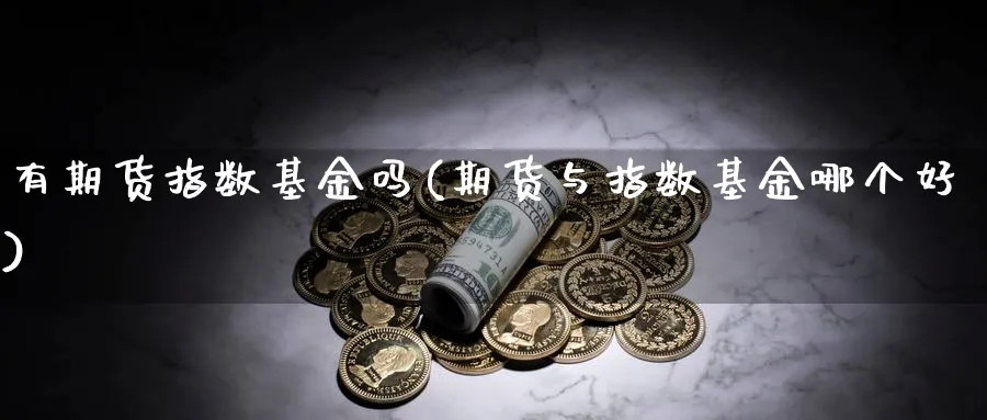 有期货指数基金吗(期货与指数基金哪个好)