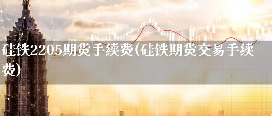 硅铁2205期货手续费(硅铁期货交易手续费)