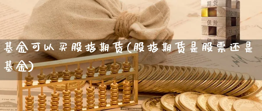 基金可以买股指期货(股指期货是股票还是基金)