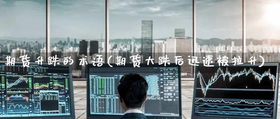 期货升跌的术语(期货大跌后迅速被拉升) (https://www.haizilaw.com/) 纳指期货 第1张