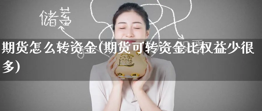 期货怎么转资金(期货可转资金比权益少很多) (https://www.haizilaw.com/) 恒指期货 第1张