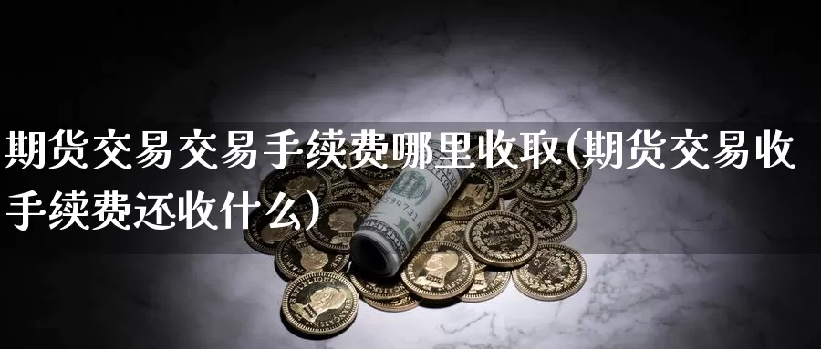 期货交易交易手续费哪里收取(期货交易收手续费还收什么)