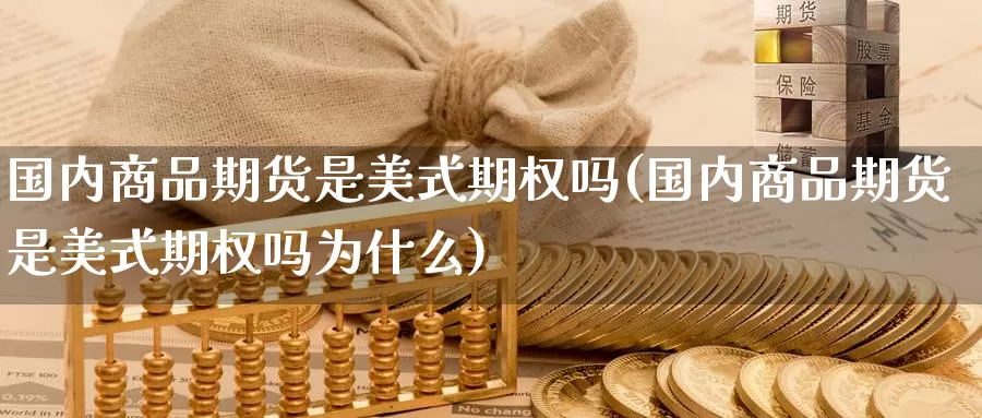 国内商品期货是美式期权吗(国内商品期货是美式期权吗为什么)