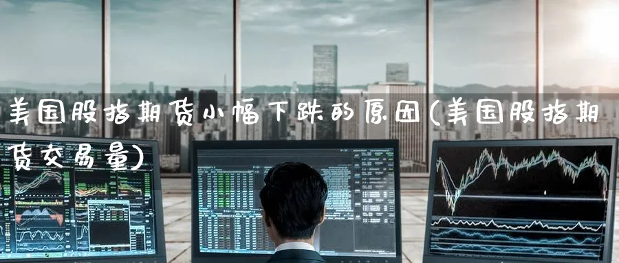 美国股指期货小幅下跌的原因(美国股指期货交易量) (https://www.haizilaw.com/) 农产品期货 第1张