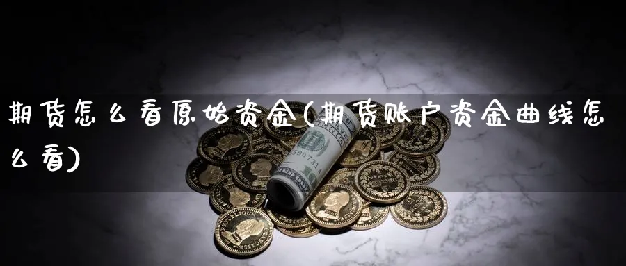 期货怎么看原始资金(期货账户资金曲线怎么看)