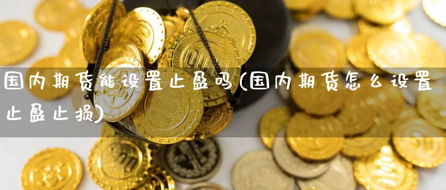 国内期货能设置止盈吗(国内期货怎么设置止盈止损) (https://www.haizilaw.com/) 国际期货 第1张