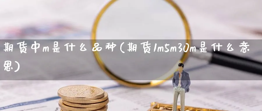 期货中m是什么品种(期货1m5m30m是什么意思) (https://www.haizilaw.com/) 道指期货 第1张