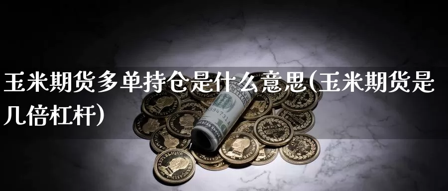 玉米期货多单持仓是什么意思(玉米期货是几倍杠杆)