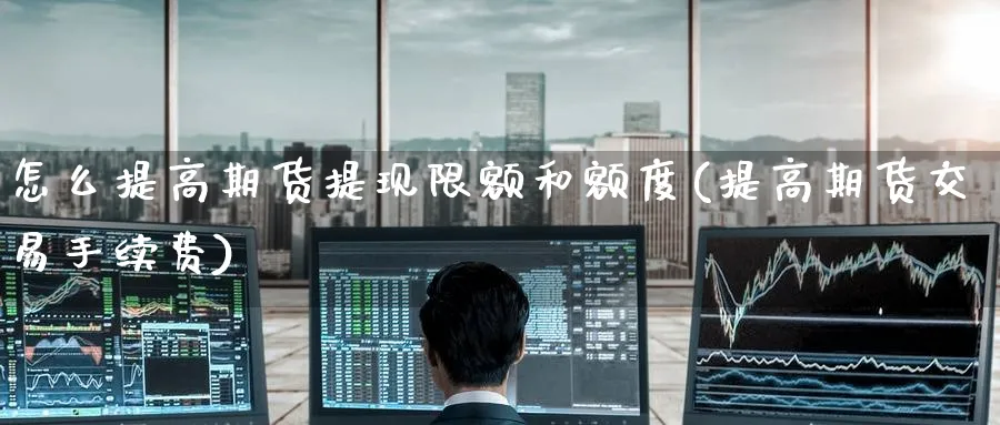 怎么提高期货提现限额和额度(提高期货交易手续费) (https://www.haizilaw.com/) 化工期货 第1张