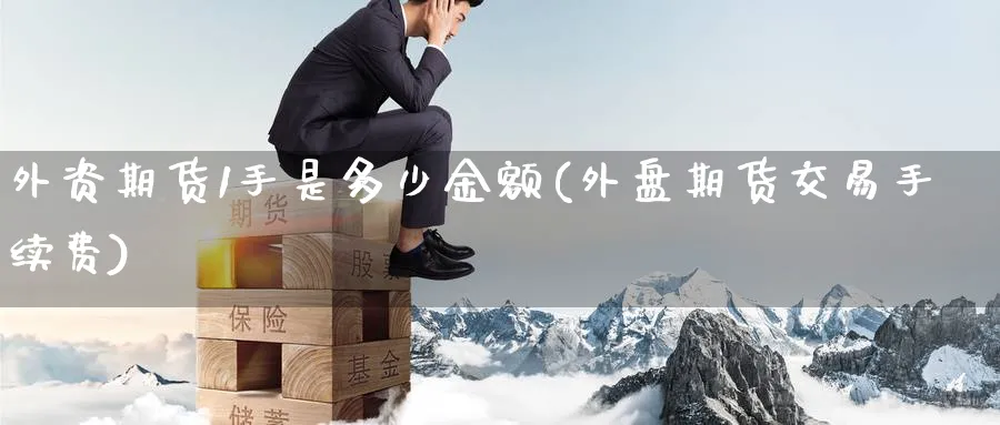 外资期货1手是多少金额(外盘期货交易手续费) (https://www.haizilaw.com/) 化工期货 第1张