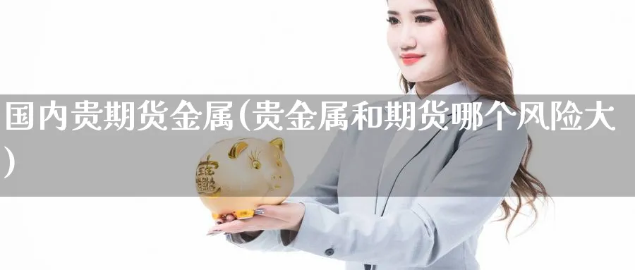 国内贵期货金属(贵金属和期货哪个风险大) (https://www.haizilaw.com/) 德指期货 第1张