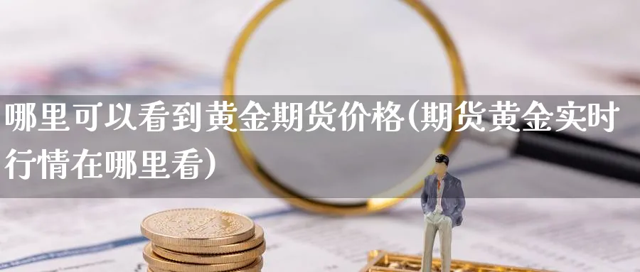 哪里可以看到黄金期货价格(期货黄金实时行情在哪里看)