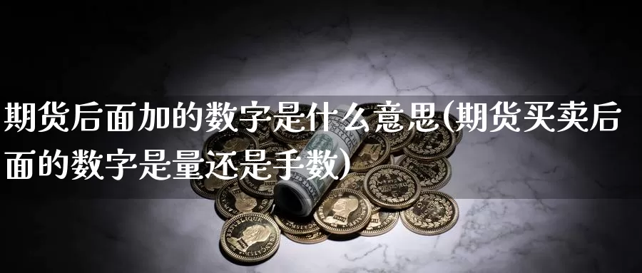 期货后面加的数字是什么意思(期货买卖后面的数字是量还是手数)