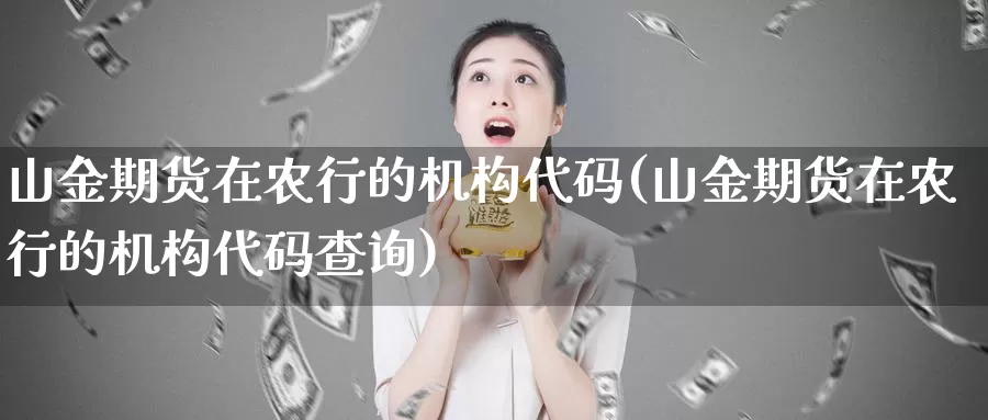 山金期货在农行的机构代码(山金期货在农行的机构代码查询)