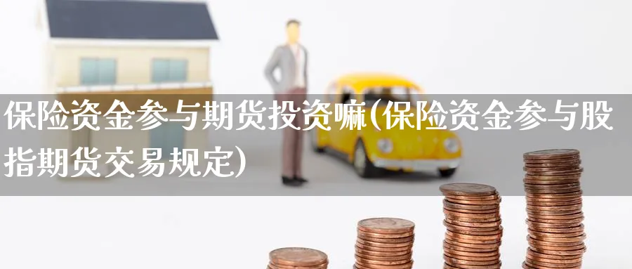 保险资金参与期货投资嘛(保险资金参与股指期货交易规定) (https://www.haizilaw.com/) 德指期货 第1张