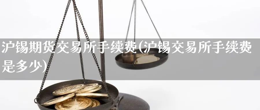 沪锡期货交易所手续费(沪锡交易所手续费是多少)