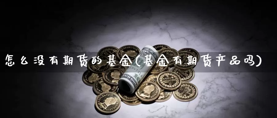 怎么没有期货的基金(基金有期货产品吗)