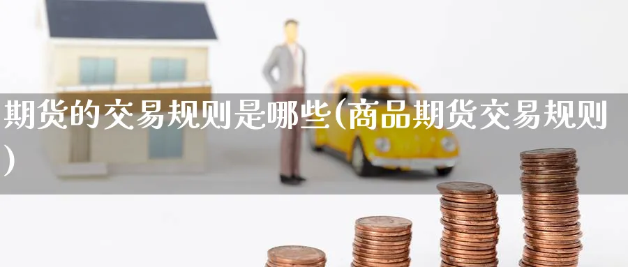 期货的交易规则是哪些(商品期货交易规则) (https://www.haizilaw.com/) 德指期货 第1张