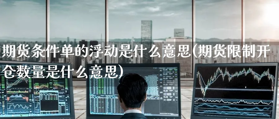 期货条件单的浮动是什么意思(期货限制开仓数量是什么意思) (https://www.haizilaw.com/) 纳指期货 第1张