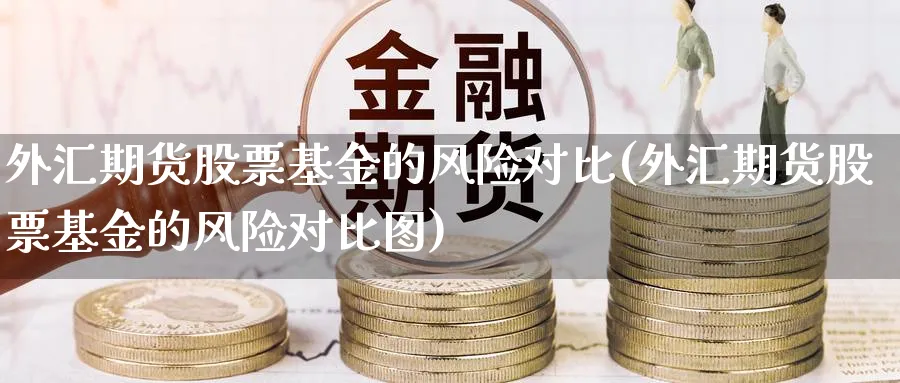 外汇期货股票基金的风险对比(外汇期货股票基金的风险对比图)