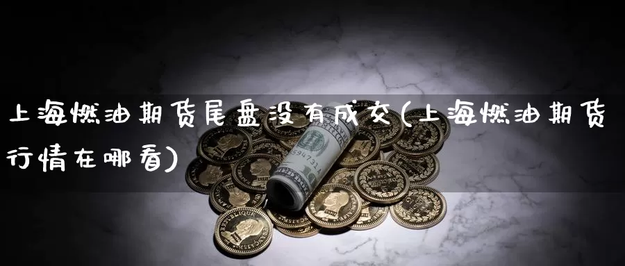 上海燃油期货尾盘没有成交(上海燃油期货行情在哪看)