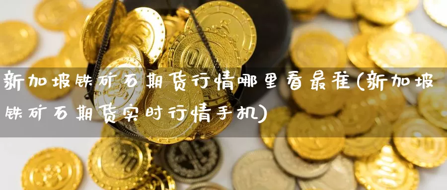 新加坡铁矿石期货行情哪里看最准(新加坡铁矿石期货实时行情手机)