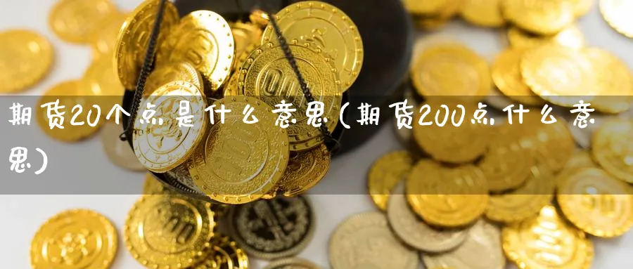 期货20个点是什么意思(期货200点什么意思)