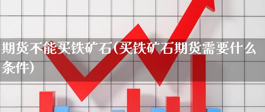 期货不能买铁矿石(买铁矿石期货需要什么条件) (https://www.haizilaw.com/) 道指期货 第1张