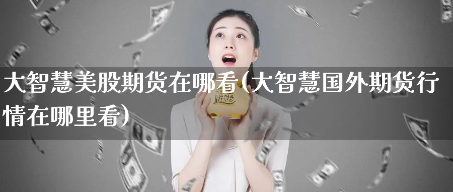 大智慧美股期货在哪看(大智慧国外期货行情在哪里看) (https://www.haizilaw.com/) 恒指期货 第1张