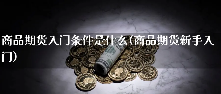 商品期货入门条件是什么(商品期货新手入门) (https://www.haizilaw.com/) 化工期货 第1张