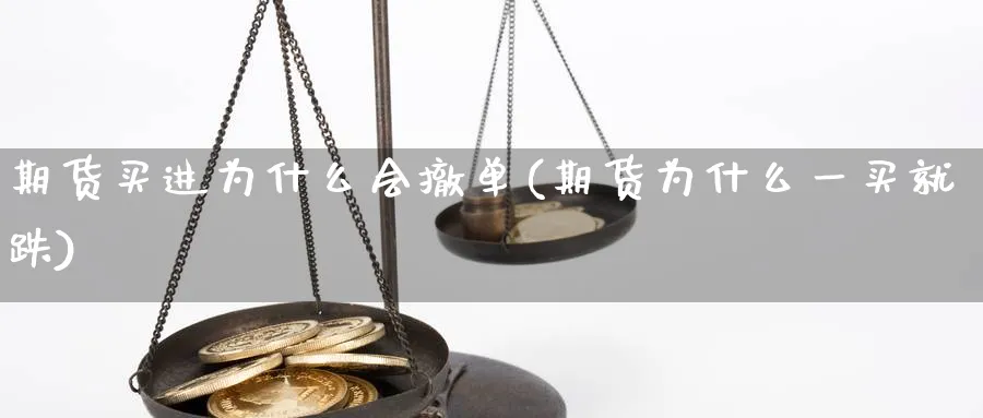 期货买进为什么会撤单(期货为什么一买就跌) (https://www.haizilaw.com/) 期货百科 第1张