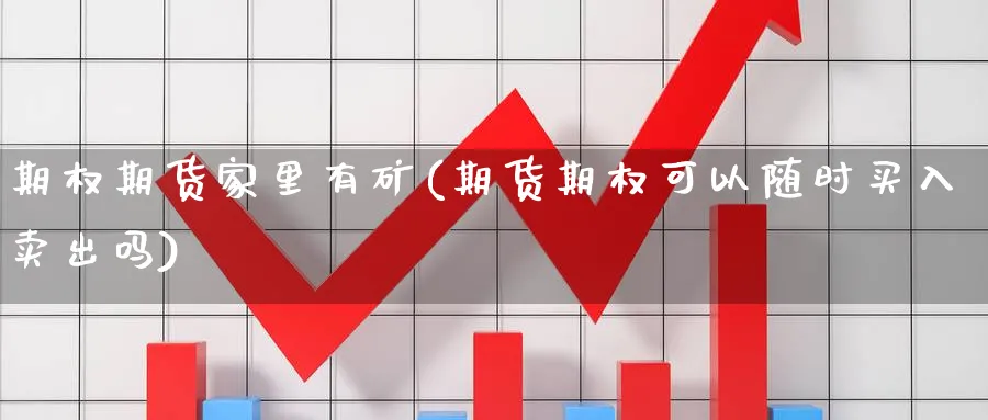 期权期货家里有矿(期货期权可以随时买入卖出吗) (https://www.haizilaw.com/) 恒指期货 第1张