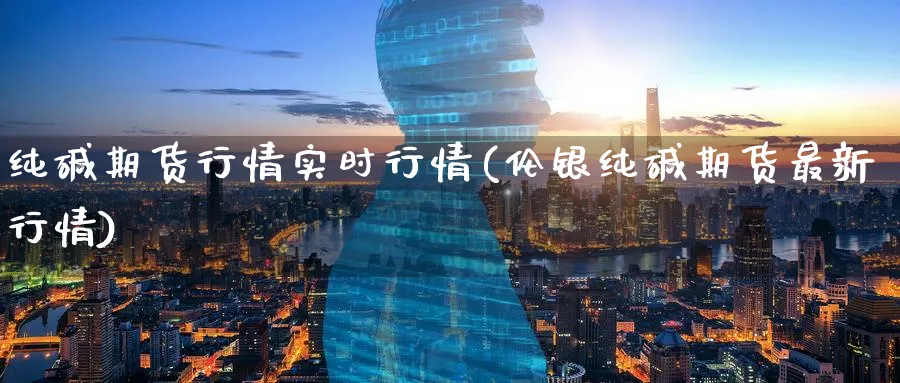 纯碱期货行情实时行情(伦银纯碱期货最新行情) (https://www.haizilaw.com/) 德指期货 第1张
