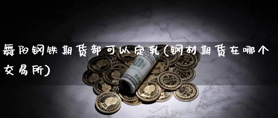 舞阳钢铁期货部可以定轧(钢材期货在哪个交易所)