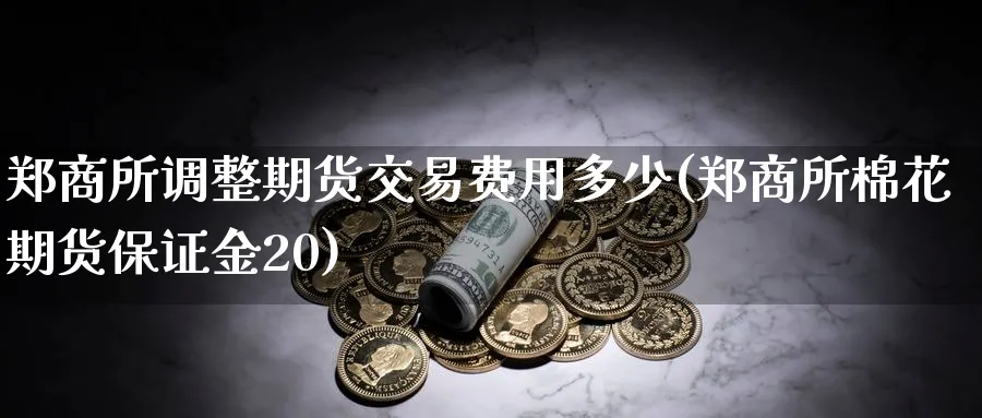 郑商所调整期货交易费用多少(郑商所棉花期货保证金20)