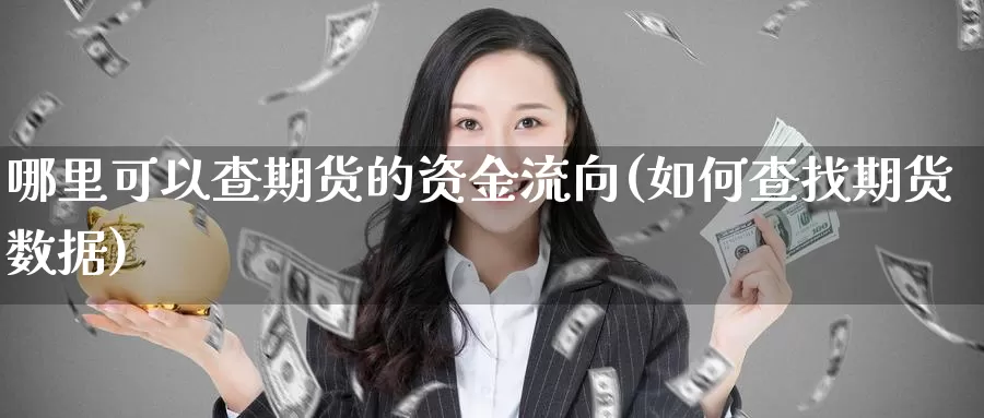 哪里可以查期货的资金流向(如何查找期货数据)