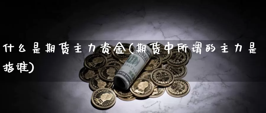 什么是期货主力资金(期货中所谓的主力是指谁)