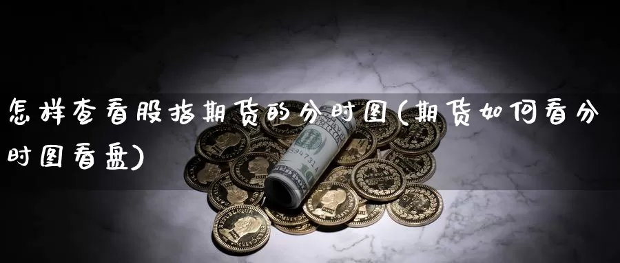 怎样查看股指期货的分时图(期货如何看分时图看盘)