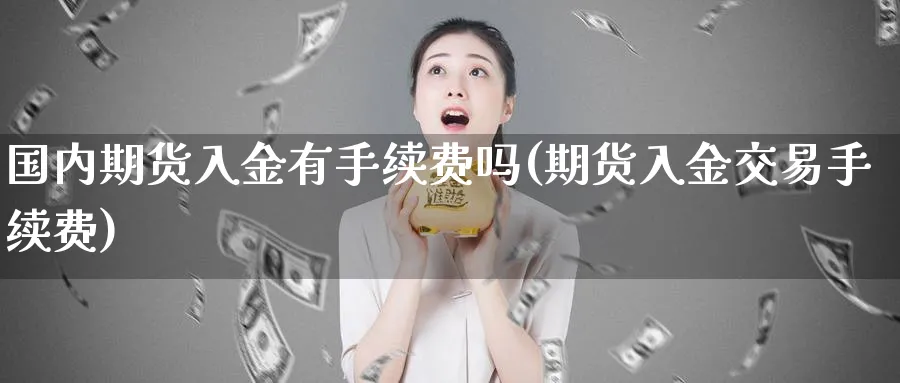 国内期货入金有手续费吗(期货入金交易手续费)