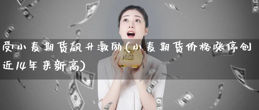 受小麦期货飙升激励(小麦期货价格涨停创近14年来新高) (https://www.haizilaw.com/) 农产品期货 第1张