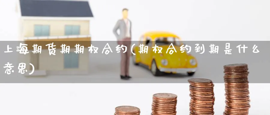 上海期货期期权合约(期权合约到期是什么意思) (https://www.haizilaw.com/) 农产品期货 第1张