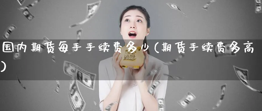 国内期货每手手续费多少(期货手续费多高) (https://www.haizilaw.com/) 德指期货 第1张