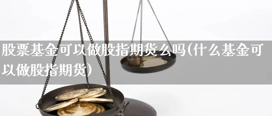 股票基金可以做股指期货么吗(什么基金可以做股指期货)