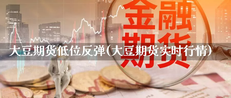 大豆期货低位反弹(大豆期货实时行情)