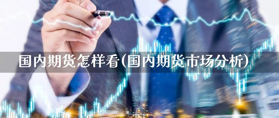 国内期货怎样看(国内期货市场分析) (https://www.haizilaw.com/) 国际期货 第1张