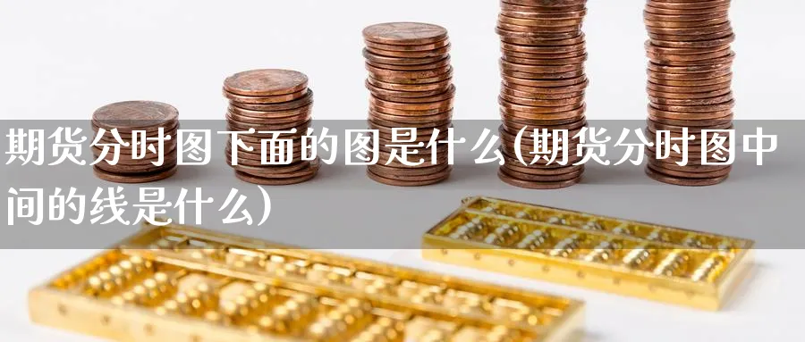 期货分时图下面的图是什么(期货分时图中间的线是什么) (https://www.haizilaw.com/) 原油期货直播间 第1张