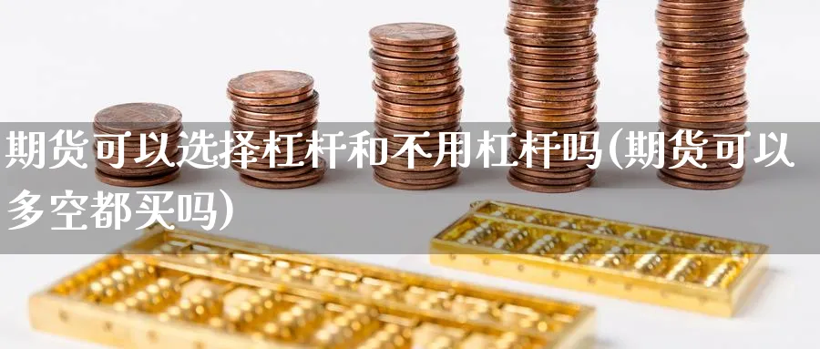 期货可以选择杠杆和不用杠杆吗(期货可以多空都买吗) (https://www.haizilaw.com/) 道指期货 第1张